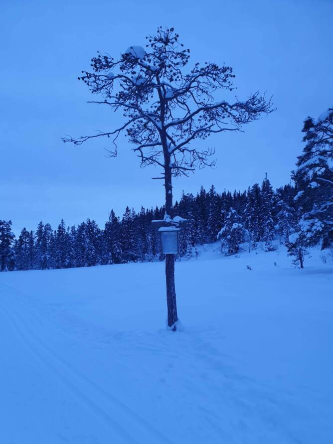 Adventskonkurranse og månedens trimpost desember.